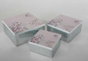 Caja de galletas vintage