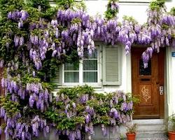 decoracion rústica con flores