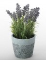 Planta artificial amb test