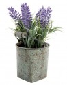Planta artificial amb test
